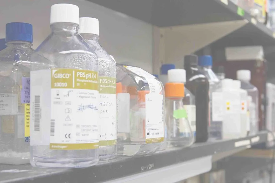 Flacons de réactifs sur une étagère de laboratoire